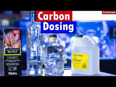Carbon Dosing / Vodka Dosing