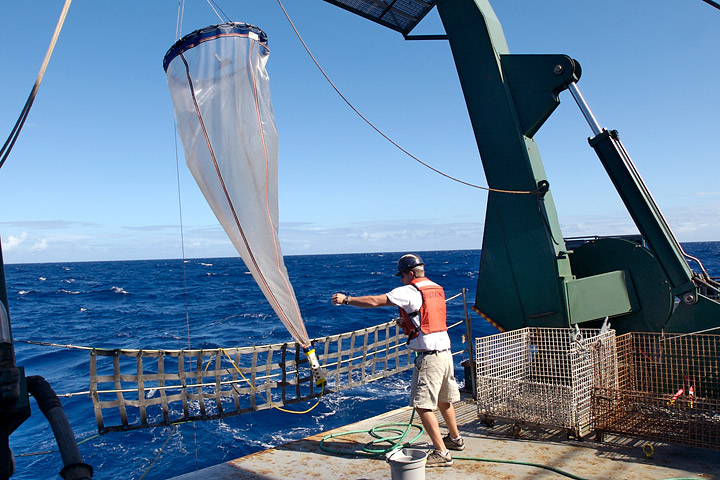 Marine biologists use plankton nets to sample phytoplankton directly from the ocean. (Photograph ©2007 Ben Pittenger.)