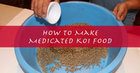 Making Medicated Fish Food